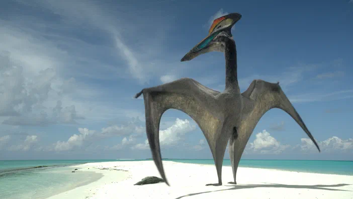 Un Hatzegopteryx se tient sur une plage de sable blanc bordée d'eau turquoise sous un ciel bleu.