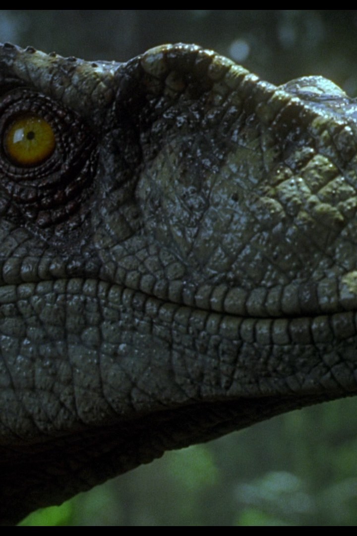 Visuel de Jurassic Park III