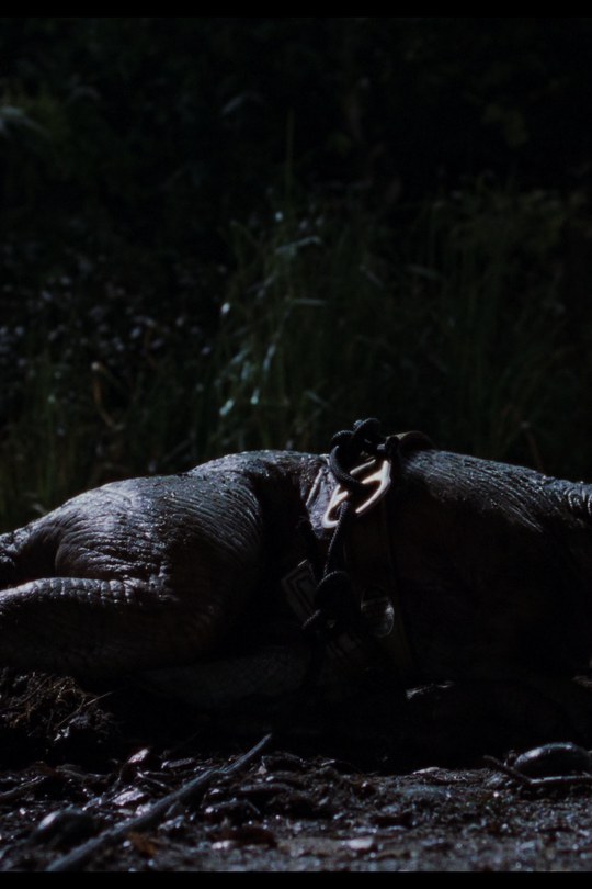 Visuel de The Lost World: Jurassic Park