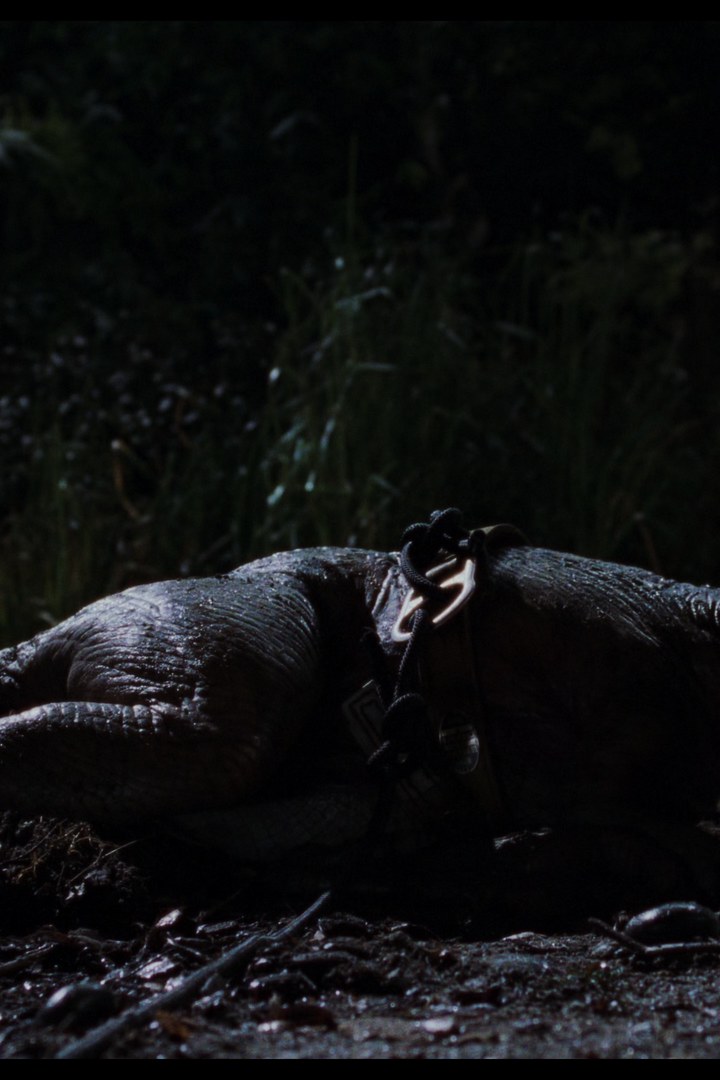 Visuel de The Lost World: Jurassic Park