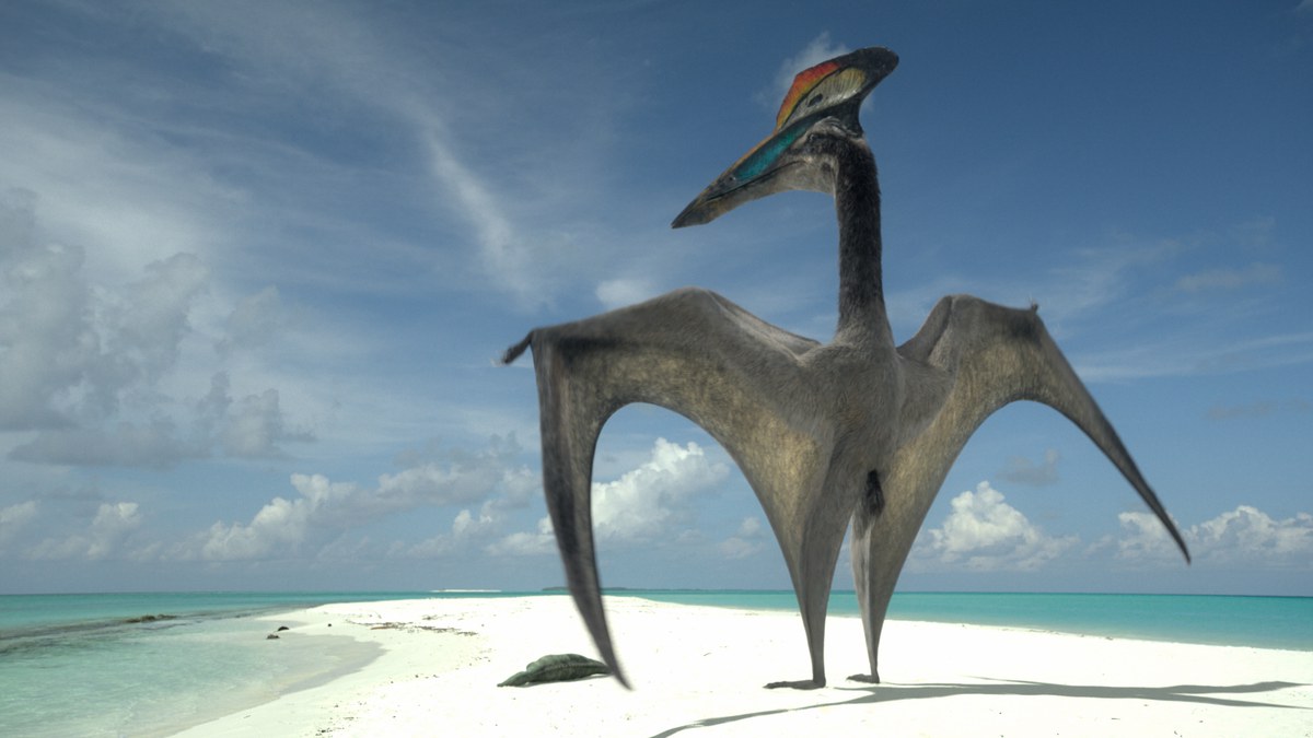 Hatzegopteryx paradant sur la plage