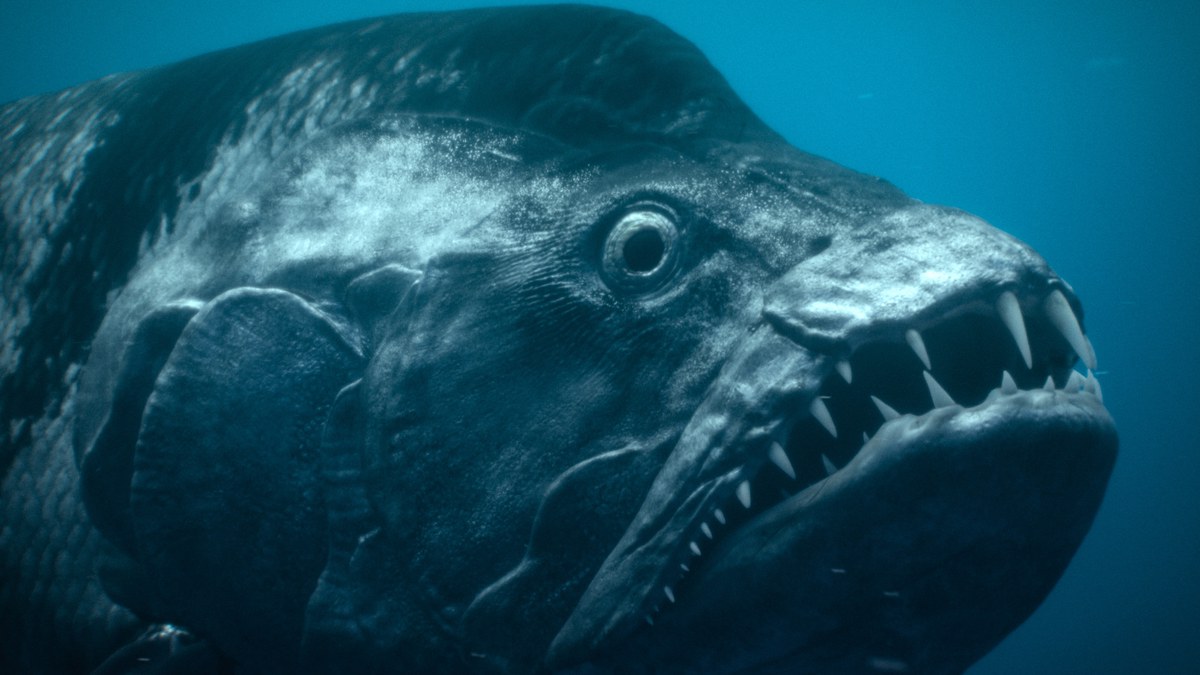 De nombreux environnements sont explorés, dont les océans. Ici, Xiphactinus, poisson osseux colossal