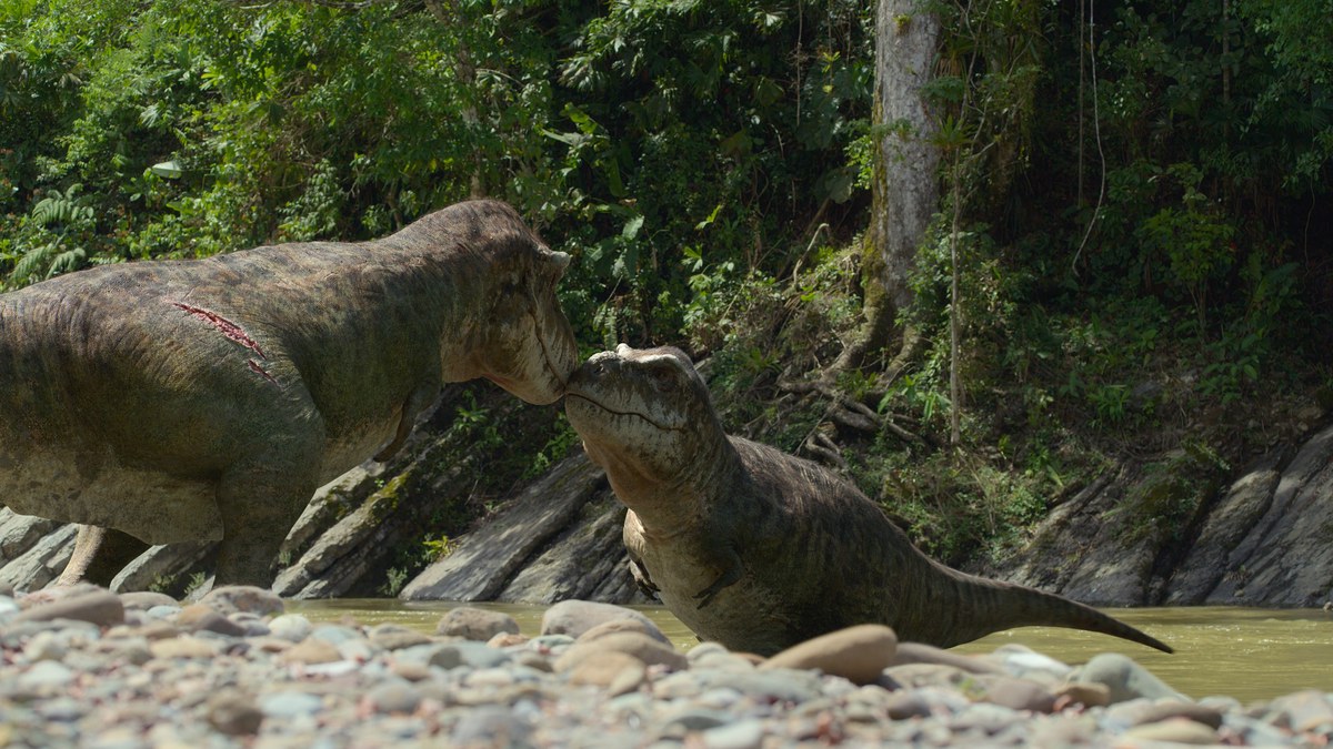 Les Tyrannosaurus aussi font des câlins
